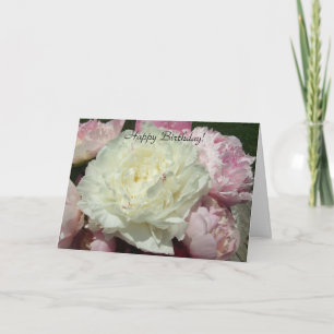 Happy Birthday White Pink Peonies / Pink Peony Car Card