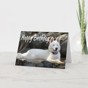 Happy Birthday White Siberian Husky Puppy Dog Card
