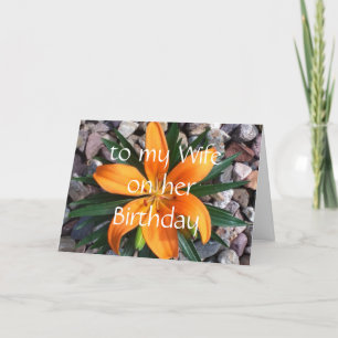 happy birthday wife card
