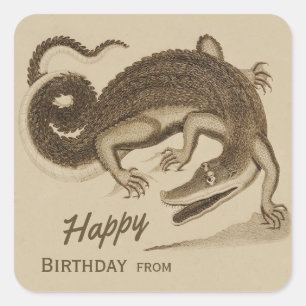 Happy Birthday Wild joyful crocodile CC0892 Square Sticker