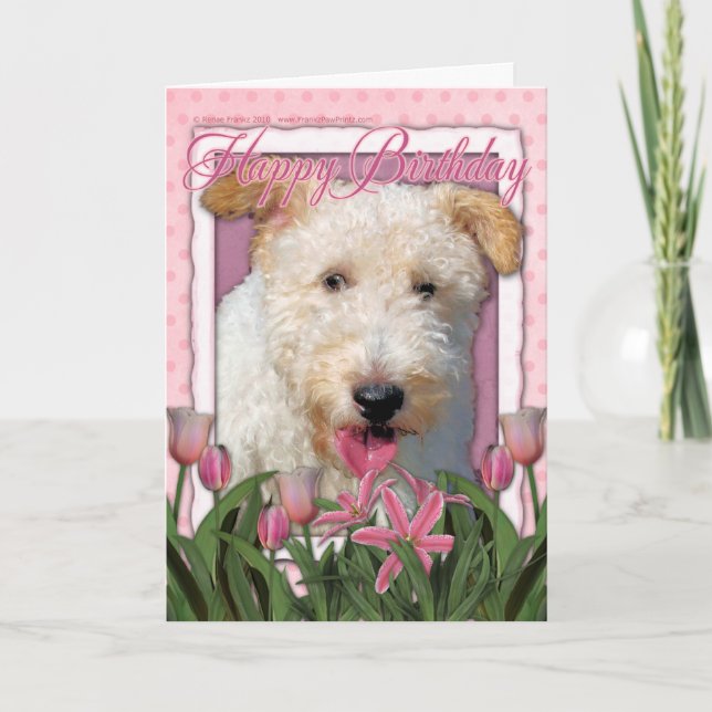 Happy Birthday -  Wire Fox Terrier - Hailey Card (Front)