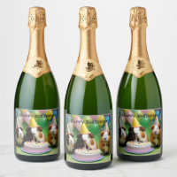 Happy Birthday With Party Guinea Pigs,