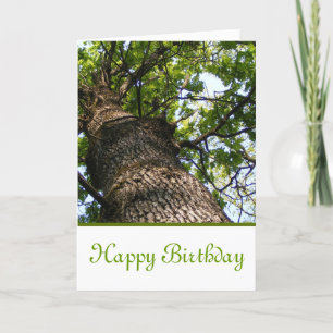 Happy Birthday with view looking up at a tree Card