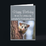 Happy Birthday Wonderful  Granddaughter Opposum  Card<br><div class="desc">Happy Birthday Wonderful  Granddaughter  Cute Opposum Animal</div>