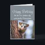 Happy Birthday Wonderful Grandson Opposum Animal  Card<br><div class="desc">Happy Birthday Wonderful Grandson Cute Opposum Animal</div>
