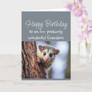 Happy Birthday Wonderful Grandson Opposum Animal Card