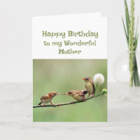  Happy Birthday Wonderful Mom Fun Birds