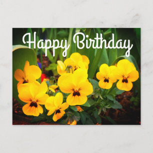 Happy Birthday Yellow Pansy #1 Postcard