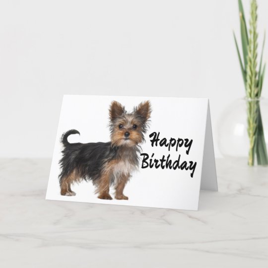 Happy Birthday Yorkshire Terrier Puppy Dog Card Zazzle Ca