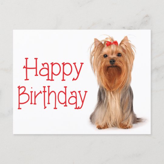 Happy Birthday Yorkshire Terrier Puppy Postcard Zazzle Ca