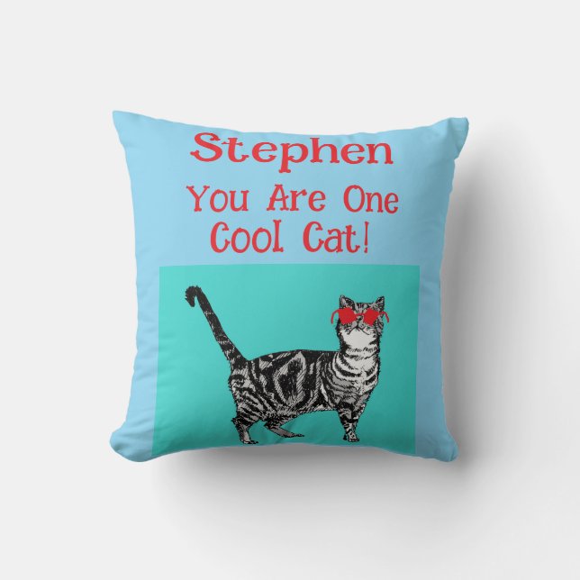 Happy Birthday You Cool Tabby Cat Mens Husband Throw Pillow (Front)