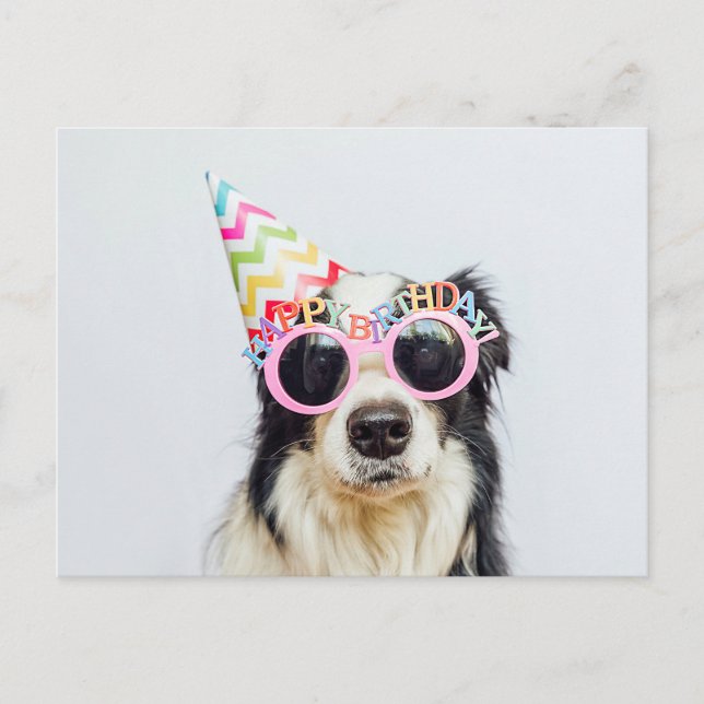 Happy Birthday You Party Animal Postcard (Front)
