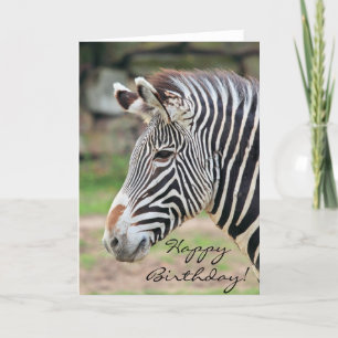 Happy Birthday Zebra animal Card