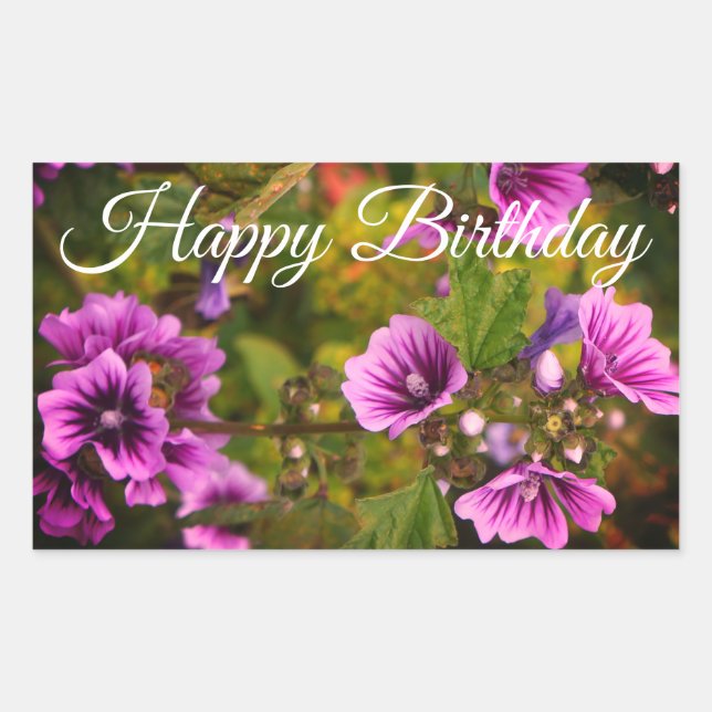 Happy Birthday Zebra Hollyhock Flowers Stickers (Front)