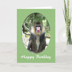 happy birthday zoo animal card