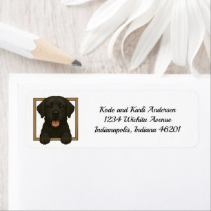 Happy Black Labrador Retours Adresse