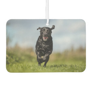 Happy Black Labrador Retriever Running Air Freshen Air Freshener