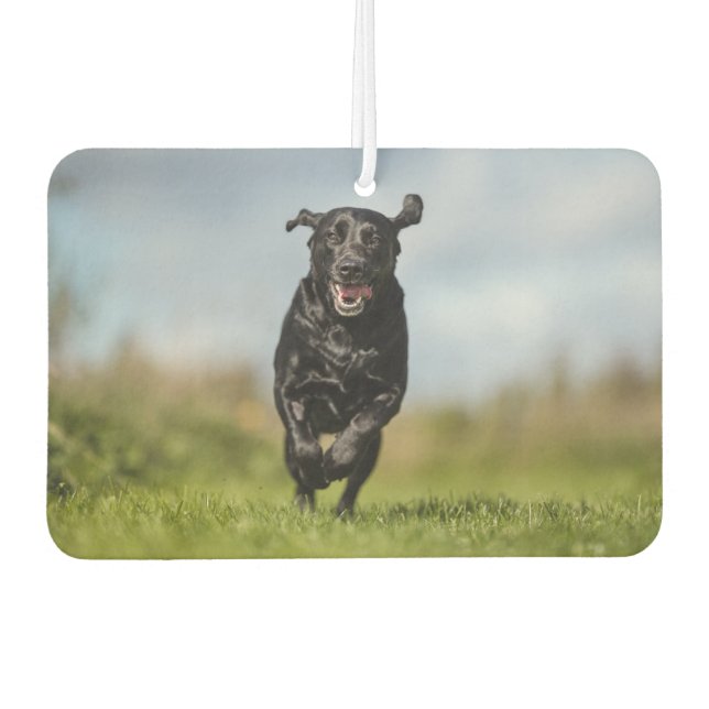 Happy Black Labrador Retriever Running Air Freshen Air Freshener (Front)