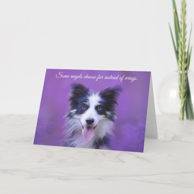 Happy Border Collie Dog, Angel with Fur Card (Front)