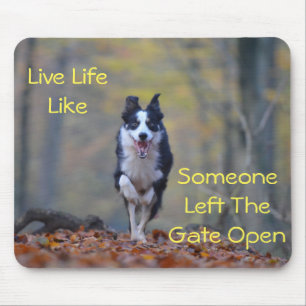 Happy Border Collie dog running and playing Mouse Pad