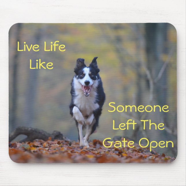 Happy Border Collie dog running and playing Mouse Pad (Front)