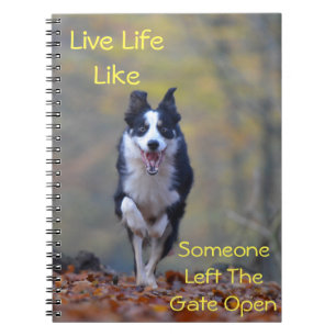 Happy Border Collie dog running and playing Notebook