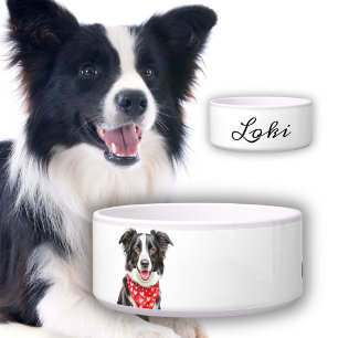 Happy Border Collie Dog`s Name