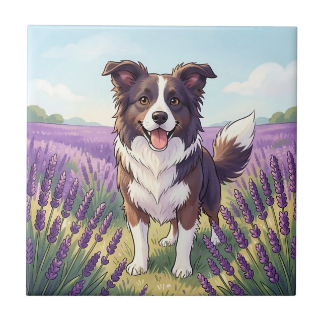 Happy Border Collie Lavender Field Tile (Front)