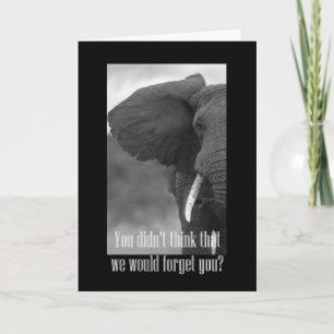 Happy Boss's Day with elephant black & white photo Card