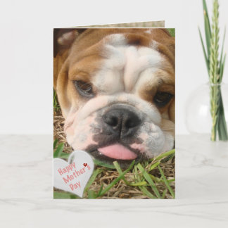 happy bulldog mother's day card