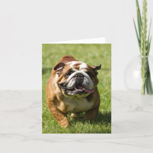 Happy Bulldog Running in Grass Card