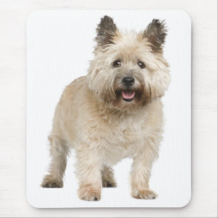 Happy Cairn Terrier Puppy Dog Mousepad