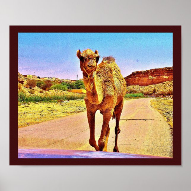 Happy Camel Poster (Front)