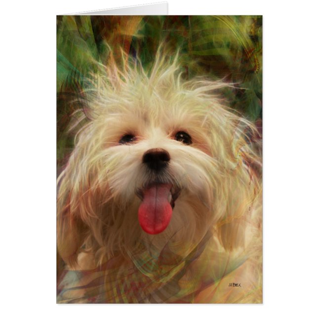 Happy Camper (Front)