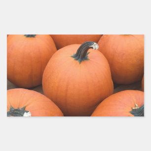 Happy Carving Sticker