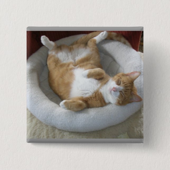 Happy Cat 2 Inch Square Button (Front)