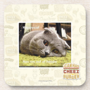 Happy cat, out of happy coaster