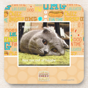Happy cat, out of happy coaster