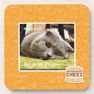 Happy cat, out of happy coaster