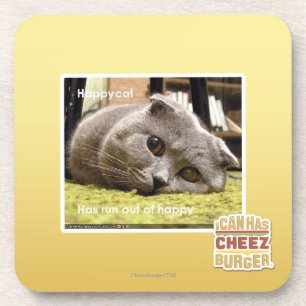 Happy cat, out of happy coaster