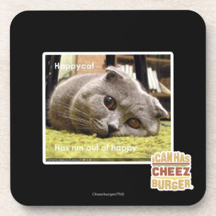 Happy cat, out of happy coaster