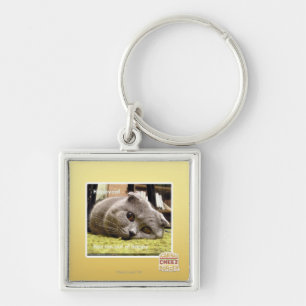 Happy cat, out of happy keychain