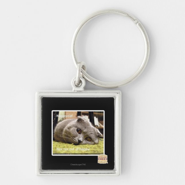 Happy cat, out of happy keychain (Front)