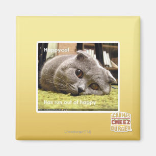 Happy cat, out of happy magnet