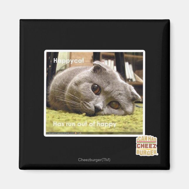 Happy cat, out of happy magnet (Front)