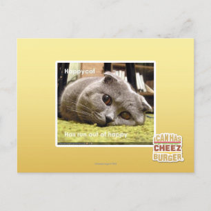 Happy cat, out of happy postcard