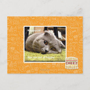 Happy cat, out of happy postcard