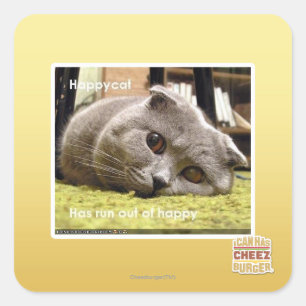 Happy cat, out of happy square sticker