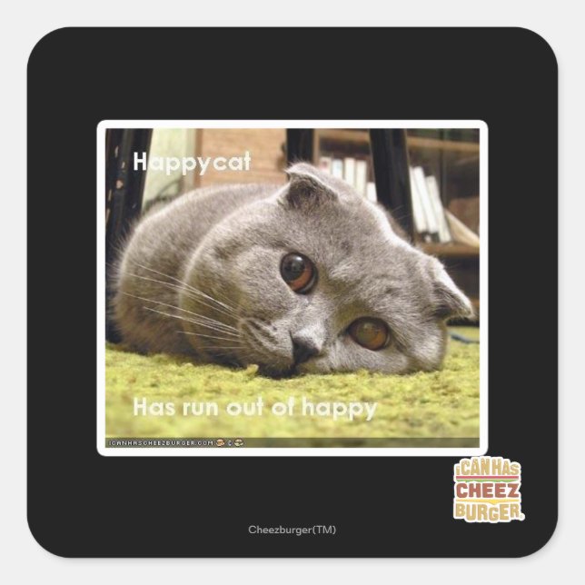 Happy cat, out of happy square sticker (Front)