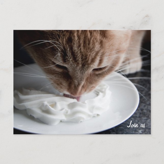 Happy cat postcard (Front)